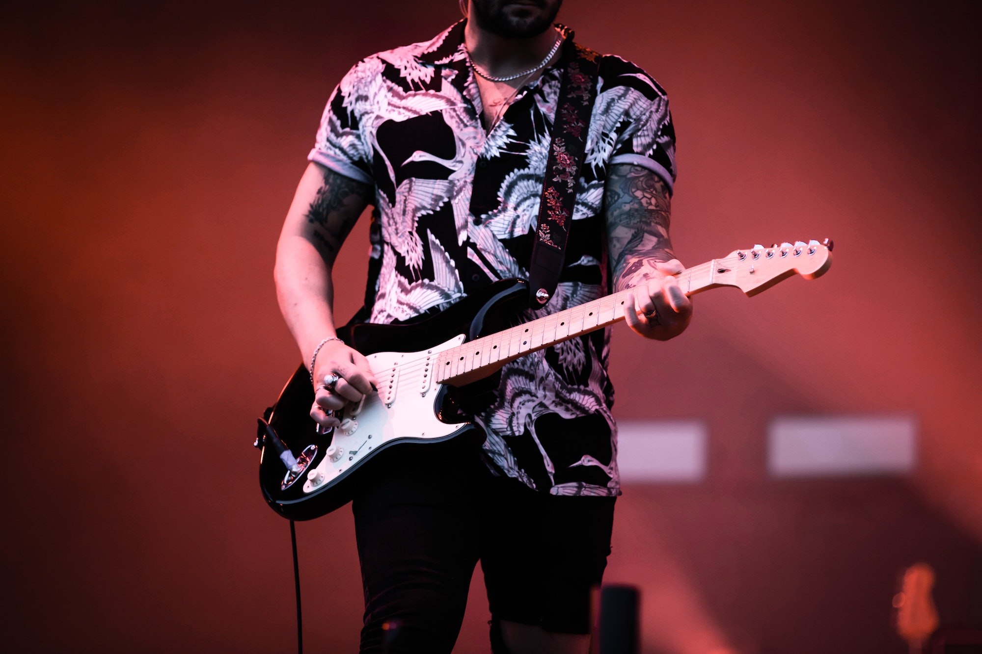 guitarist on stage live concert.jpg
